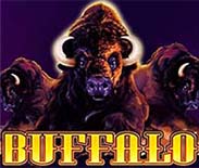 BUFFALO MC